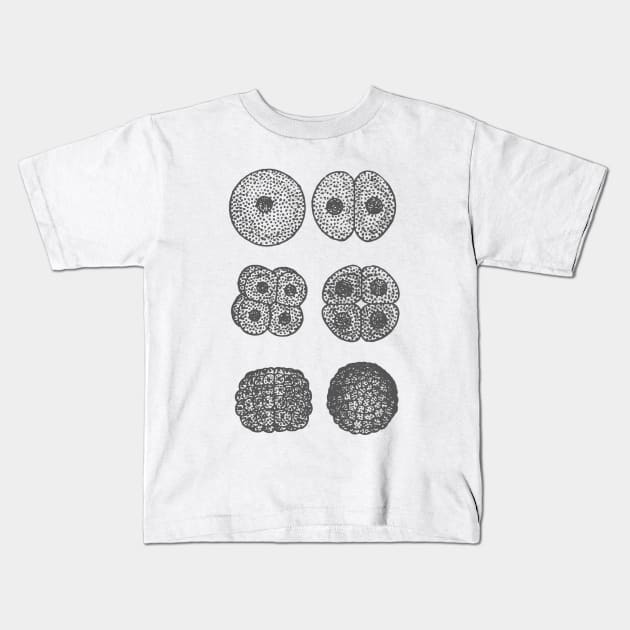 Embryogenesis Kids T-Shirt by wanungara